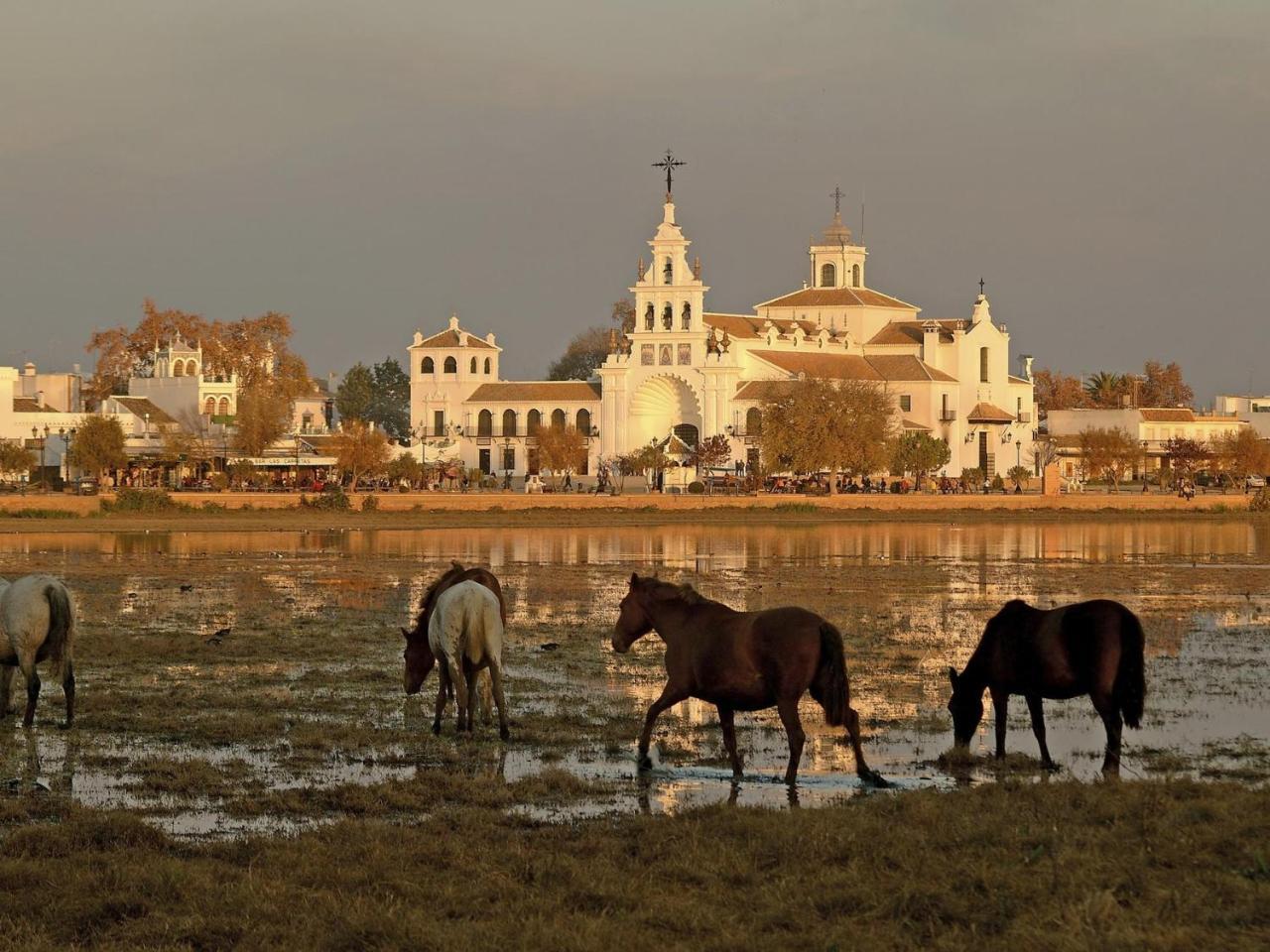 Alojamiento Rural Flamingo Эль-Росио Экстерьер фото